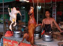 Image result for Dog Meat Market in China