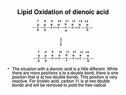 Image result for Lipid Oxidation