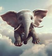 Image result for Cute Funny Baby Elephant