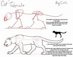 Image result for Big Cat Drawings