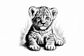 Image result for Baby Lion Engraving