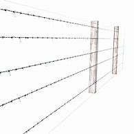 Image result for Clean Barbed Wire