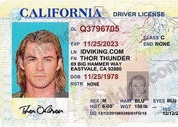 Image result for De Drivers License