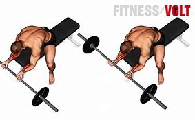 Image result for Forearm Curl Exercise