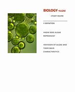 Image result for Algae Biology