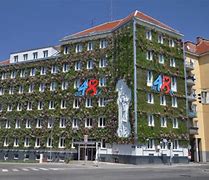 Image result for Vienna Green