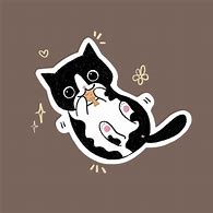 Image result for Chonky Tuxedo Cat