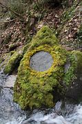 Image result for Moss Sculpture