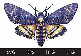 Image result for Death Head Moth Skull