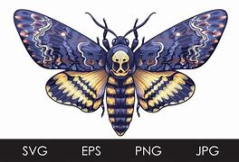 Image result for Death Head Moth Shelf