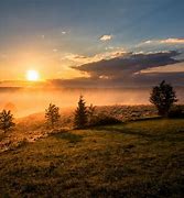 Image result for Sunny Morning Outside