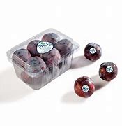 Image result for Black Plum Fruit