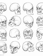 Image result for Human Skull in All Angles 3D