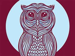 Image result for Night Owl Graphics