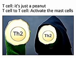 Image result for Banana Allergy Meme