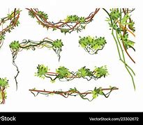 Image result for Animated Jungle Vines