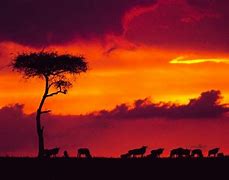 Image result for Beautiful Kenya Sunset