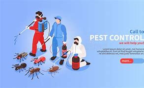 Image result for Pest Control Services Banner