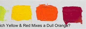 Image result for Orange Grey Mix