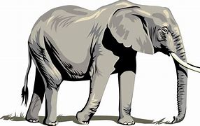 Image result for Elephant Clip Art Free Download