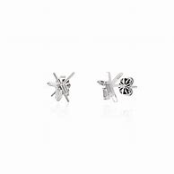 Image result for Silver Stud Earrings