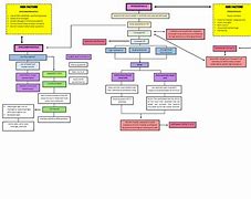 Image result for Hydrocephalus Concept Map