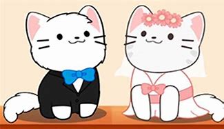 Image result for Duet Cats