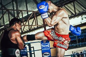 Image result for Muay Thai Sweden