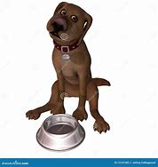 Image result for Feed a Dog