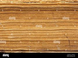 Image result for Book Side Texture