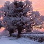 Image result for Peaceful Winter Day