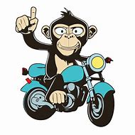 Image result for Monkey Riding Motorcycle