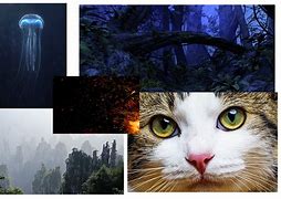 Image result for Avatar I See You