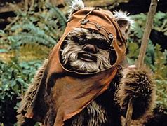 Image result for Ewok Show