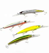 Image result for Fake Minnow Fishing Set Up