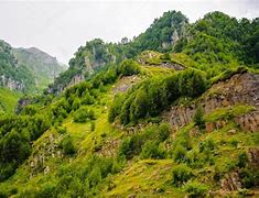 Image result for Georgia Nature