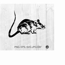 Image result for Rat Hanging SVG