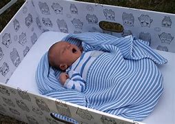 Image result for Baby Chick Box