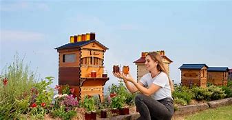 Image result for Honey Bee Hive Flow