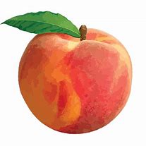 Image result for 4 Peach