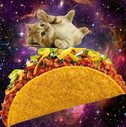 Image result for Space Cat and Taco Meme