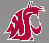 Image result for WSU Logo.jpg