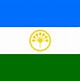 Image result for Bashkortostan Flag