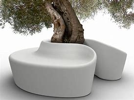 Image result for Back Yard Olive Tree Bench