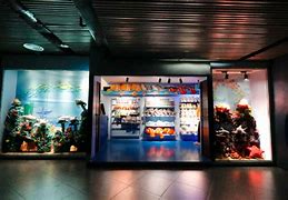 Image result for Ocean Park BSD Souvenirs