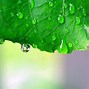 Image result for Cool Rain Wallpaper