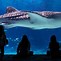 Image result for Atlantic Aquarium Bloop