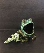 Image result for Frog Sink Sponge Holder