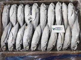 Image result for Frozen Mackerel