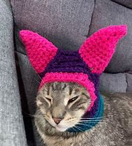 Image result for Cat with Ski Mask